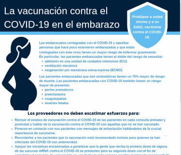 La vacunacion contra el COVID-19 en el embarazo - Los proveedores