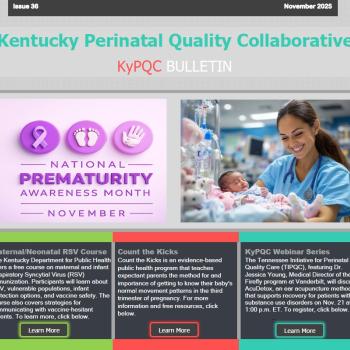 KyPQC Bulletin - November 2025